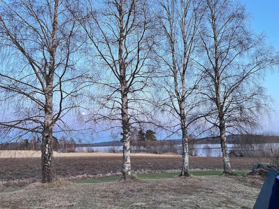 Lake Lodge Roennaes Leksand Eksteriør billede